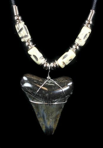 Polished Megalodon Tooth Necklace #35765